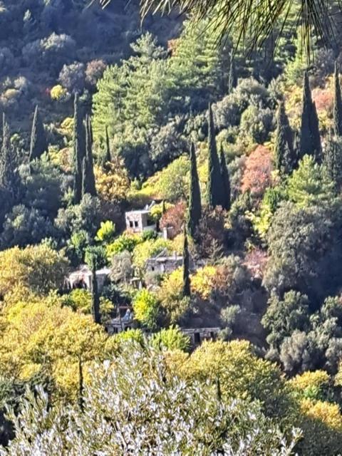 Valeondades Villa Valeontádes Exteriör bild